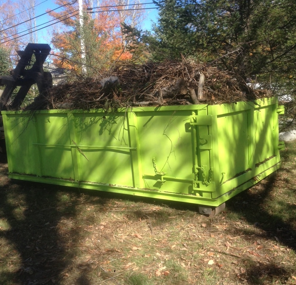 Tree Removal Dumpster Services, Palm Beach Gardens Junk Removal and Trash Haulers