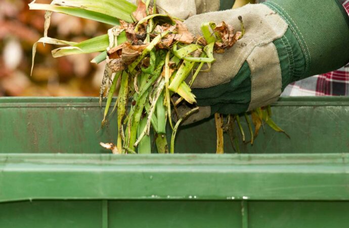 Yard Waste Dumpster Services, Palm Beach Gardens Junk Removal and Trash Haulers